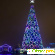Новогодние ёлки в москве отзывы -  - Фото 507019