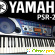 Синтезатор Yamaha PSR 260 -  - Фото 628888