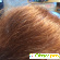 Argan organic Роскошный блеск Аргановый био бальзам для волос -  - Фото 669717