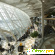Международный аэропорт Гейдар Алиев -  - Фото 741431