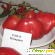 Мазарини томат отзывы фото -  - Фото 743049