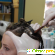 Биоламинирование волос отзывы -  - Фото 811153