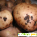 Картофель гала характеристика сорта отзывы вкусовые качества -  - Фото 848522