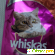 Влажный корм для кошек Whiskas с индейкой. -  - Фото 896372