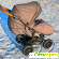 Emmaljunga scooter -  - Фото 909457