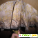 Женский зонт -  - Фото 911112
