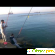 Рыбалка на кипре -  - Фото 911565