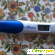 Clearblue тест на беременность -  - Фото 929002