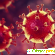 Азитромицин при коронавирусе отзывы -  - Фото 1031038
