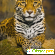 Ковер ТамиТекс «Леопард» -  - Фото 1068336