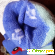 Носки детские махровые антискользящие -  - Фото 1070022