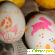 Смеси для окрашивания пищевых продуктов Домашняя кухня Трафареты для декорирования яиц -  - Фото 1084729