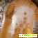 Гель-бальзам для мытья посуды Vestar Айва -  - Фото 1100509