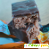 Конфеты Невский кондитер Белинский Бельгийский десерт со вкусом шоколада и апельсина -  - Фото 1107915