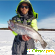 Костюм-поплавок для зимней рыбалки Norfin Signal Pro -  - Фото 1112529