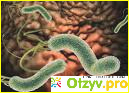  Симптомы инфицирования Helicobacter pylori.