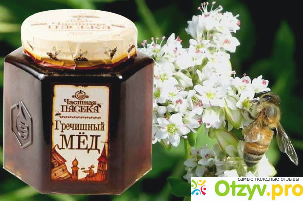 При каких недугах и заболеваниях поможет приём в пищу, ввод в рацион мёда гречишного.