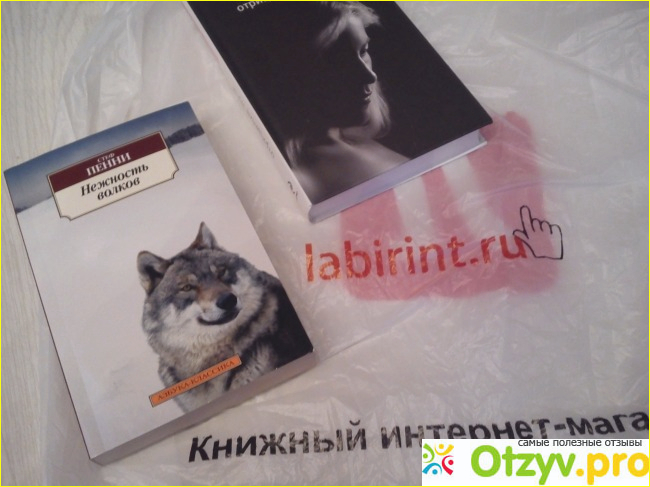 Отзыв о Labirint.ru - книжный интернет-магазин