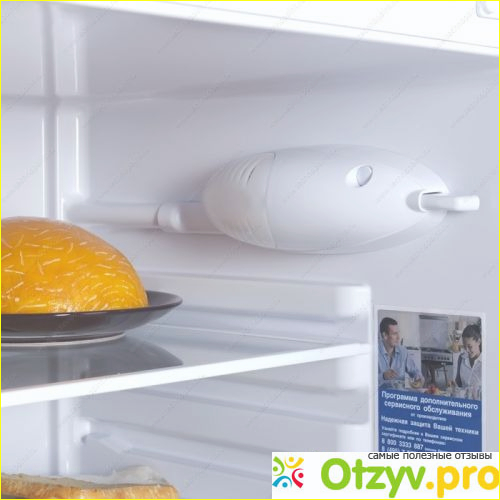 Двухкамерный холодильник Indesit ST 14510 фото1
