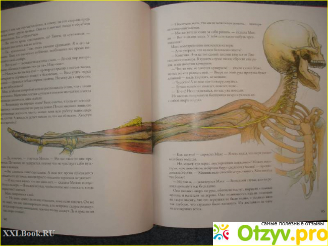 Книга Тайны анатомии фото2
