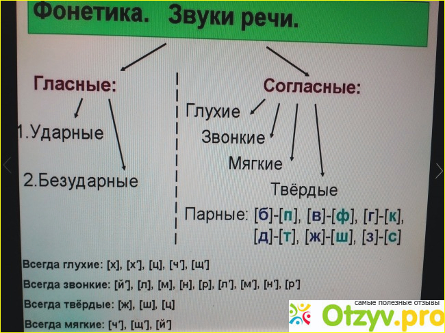  Разделы языкознания русского языка.