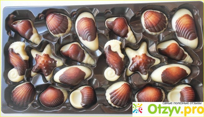Конфеты Морские ракушки из бельгийского шоколада фото1