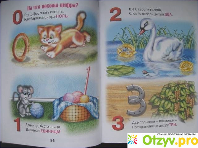 Книга знаний для малышей фото2
