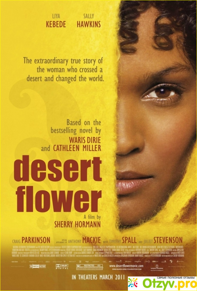 Мои впечатления от фильма «Цветок в пустыне»