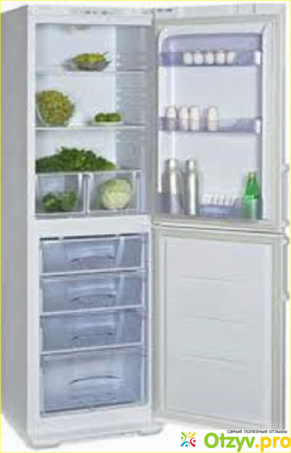 Отзыв о Двухкамерный холодильник Бирюса 125 LE
