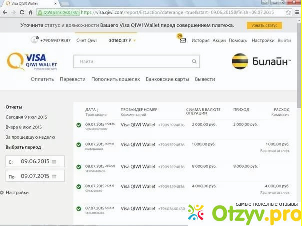 Отзыв о Хочешь зарабатывать 20-30-40-50 тысяч в месяц на Яндекс ( Киви ) кошельках? Развод!