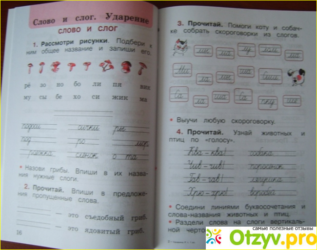 Необходимость покупки рабочей тетради по русскому языку
