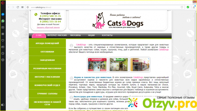 Cats and dogs: сеть магазинов для питомцев.