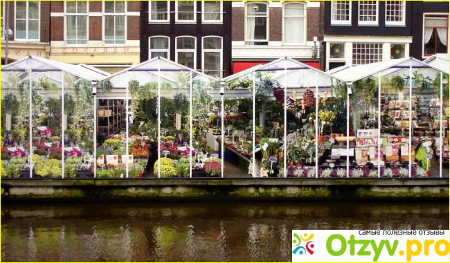 Амстердам достопримечательности отзывы туристов фото8