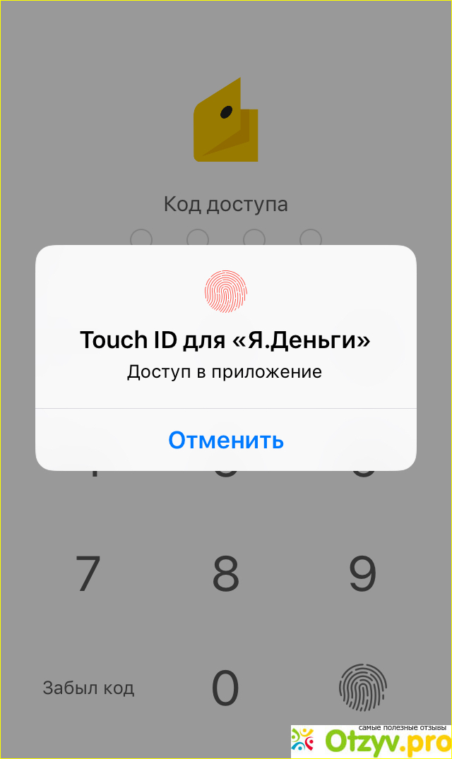Платежная система Яндекс. Деньги фото2