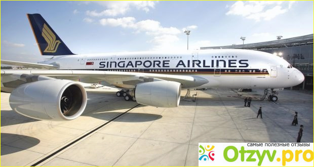 Отзыв о Singapore airlines