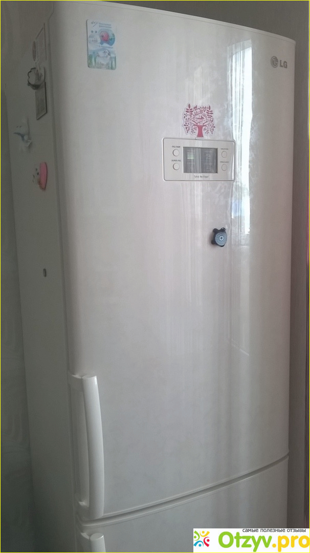 Отзыв о Холодильник LG GA-E409UEQA