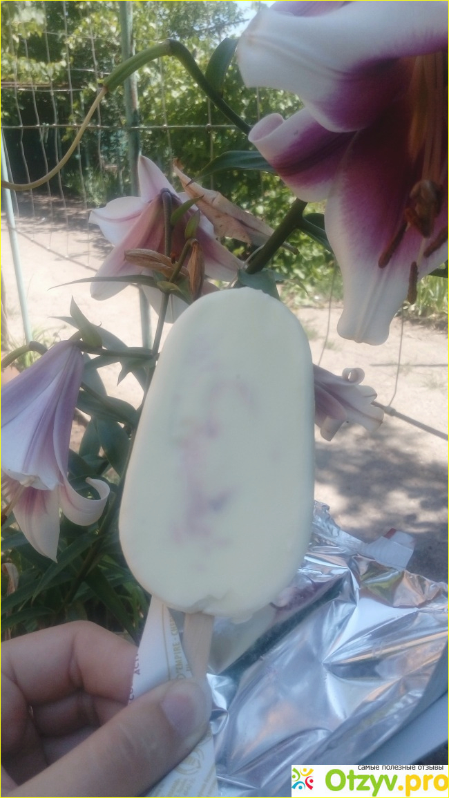 Мороженое Рудь Империя эскимо Вишня фото1