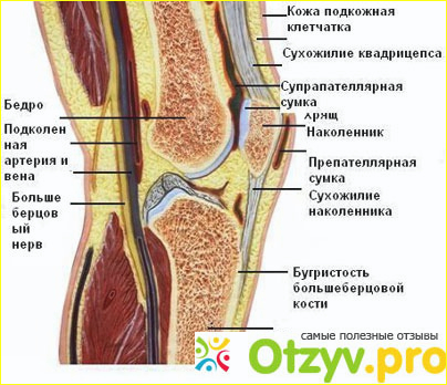 Факторы риска боли в колене 