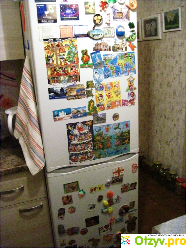 Отзыв о Двухкамерный холодильник Атлант ХМ 6026-031