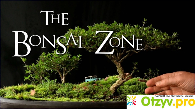 Отзыв о Youtube-канал The Bonsai Zone