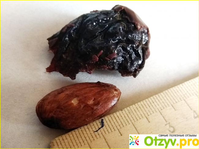 Набор конфет Гранд Кенди Joyco Сухофрукт чернослива в шоколаде с миндалём фото2