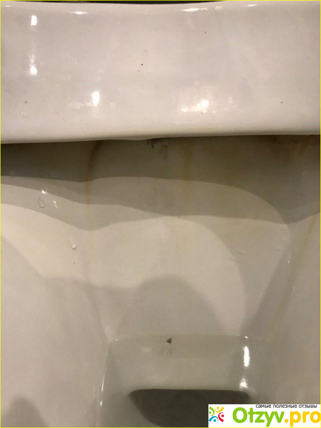 Отзыв о Sanfor WC Gel Perfect Clean