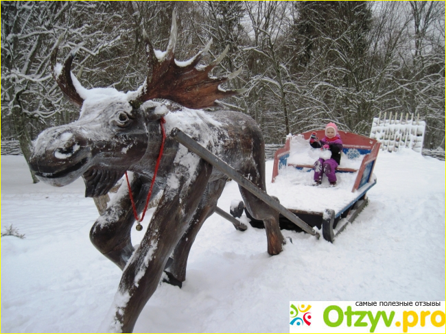 Поместье Деда Мороза в Беловежской пуще фото6