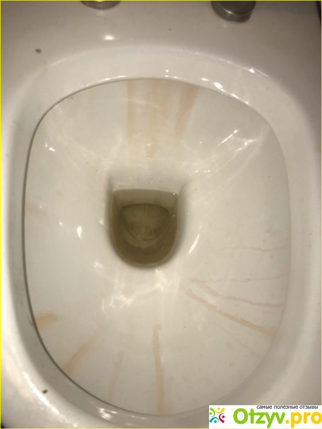 Отзыв о Sanfor WC Gel Perfect Clean