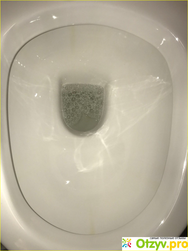 Sanfor WC Gel Perfect Clean фото1