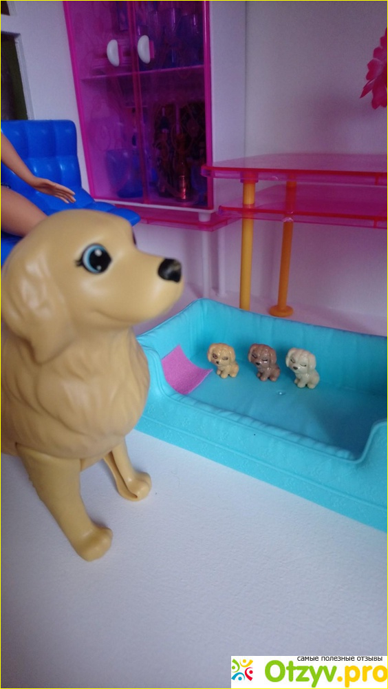 Barbie / Barbie Игровой набор Кукла и собака с новорожденными щенками.