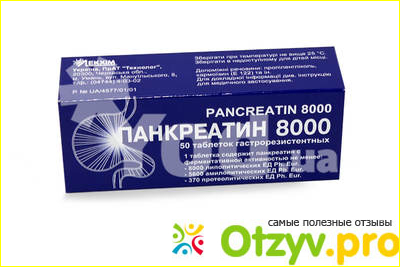 Лекарственный препарат Панкреатин фото1