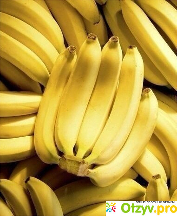 Отзыв о Растение Банан