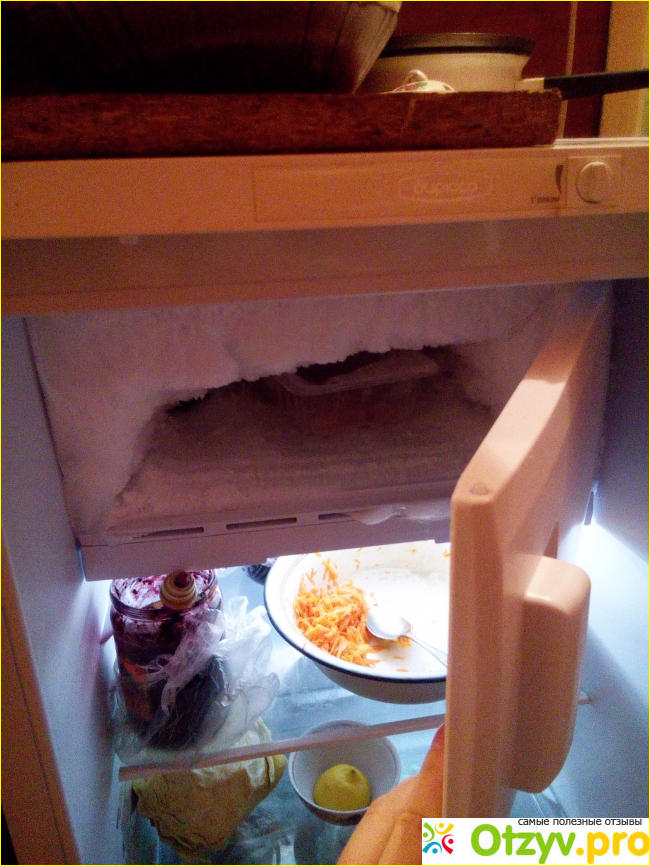 Холодильник бирюса 108 отзывы покупателей фото1