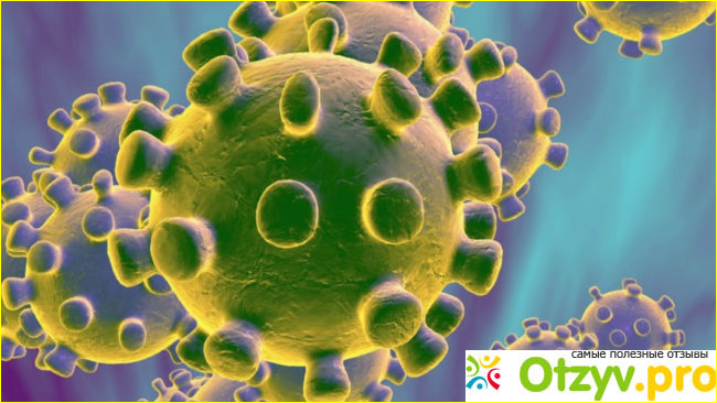 В чем разница между COVID-19 и гриппом?
